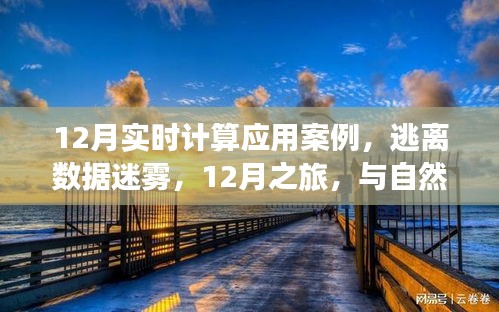 12月實(shí)時(shí)計(jì)算應(yīng)用案例，數(shù)據(jù)迷霧中的逃離之旅與自然美景的實(shí)時(shí)對(duì)話