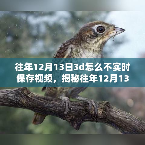 揭秘，為何往年12月13日3D技術(shù)未能實(shí)時(shí)保存視頻的背后真相