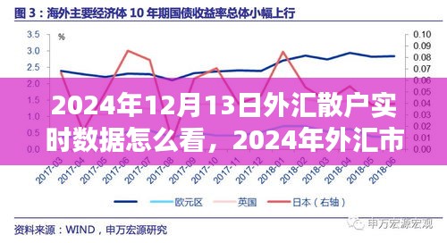 2024年外匯市場散戶實(shí)時(shí)數(shù)據(jù)解讀指南，如何查看與分析外匯散戶實(shí)時(shí)數(shù)據(jù)