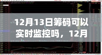 揭秘，12月13日籌碼實(shí)時(shí)監(jiān)控之旅，自然、內(nèi)心與籌碼的交響樂(lè)