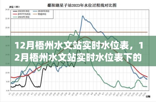 多維度觀察與思考下的梧州水文站實(shí)時(shí)水位表分析