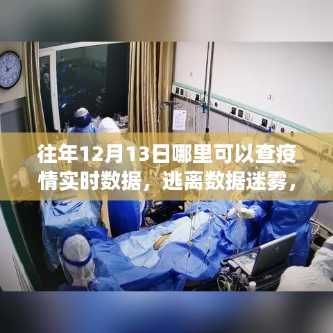 疫情之下的自然之旅，實(shí)時(shí)數(shù)據(jù)查詢與美景中的內(nèi)心平靜探尋之路