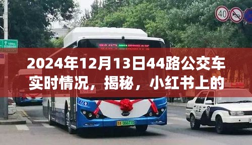 揭秘，小紅書上的2024年12月13日44路公交車實(shí)時(shí)動(dòng)態(tài)播報(bào)