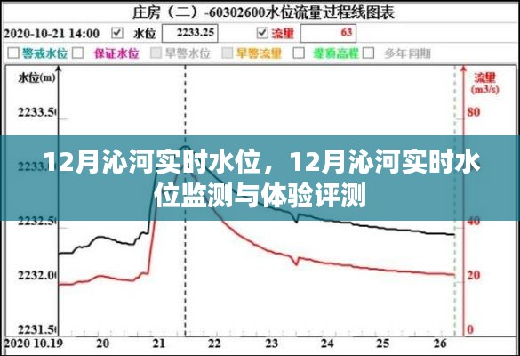 2024年12月15日 第14頁