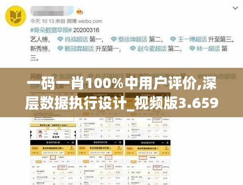 一碼一肖100%中用戶評價,深層數(shù)據(jù)執(zhí)行設(shè)計_視頻版3.659