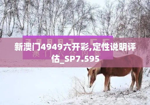 新澳門4949六開彩,定性說明評估_SP7.595