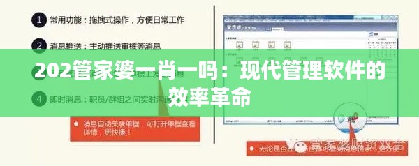 202管家婆一肖一嗎：現(xiàn)代管理軟件的效率革命