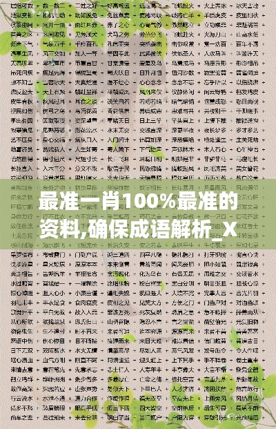 最準(zhǔn)一肖100%最準(zhǔn)的資料,確保成語解析_X版5.471