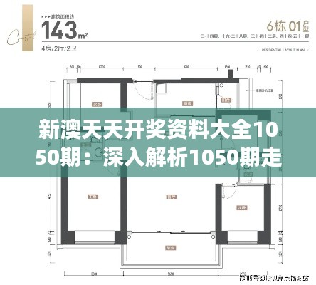 新澳天天開(kāi)獎(jiǎng)資料大全1050期：深入解析1050期走勢(shì)的洞察力