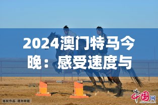 2024澳門(mén)特馬今晚：感受速度與激情的盛會(huì)時(shí)刻