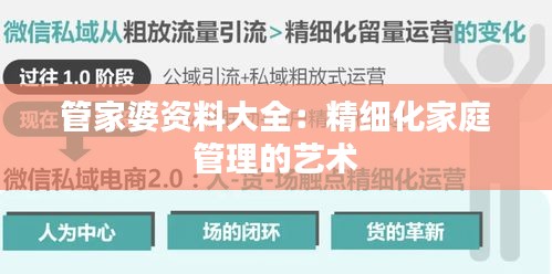 管家婆資料大全：精細(xì)化家庭管理的藝術(shù)