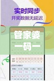 管家婆一碼一肖最準圖片：深入解析其背后的精準預(yù)測邏輯