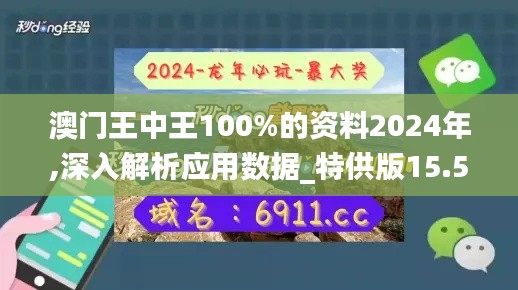 澳門王中王100%的資料2024年,深入解析應(yīng)用數(shù)據(jù)_特供版15.532