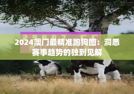 2024澳門最精準跑狗圖：洞悉賽事趨勢的獨到見解