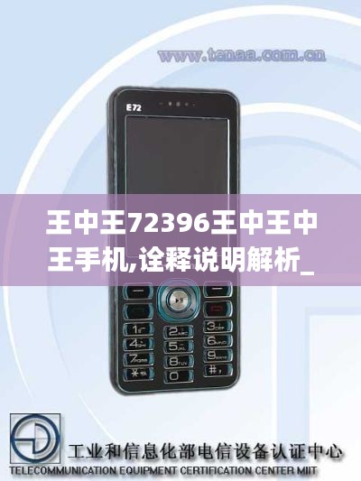 王中王72396王中王中王手機(jī),詮釋說明解析_Elite7.866