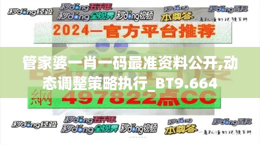 管家婆一肖一碼最準(zhǔn)資料公開(kāi),動(dòng)態(tài)調(diào)整策略執(zhí)行_BT9.664