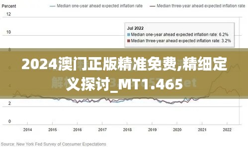 2024澳門正版精準免費,精細定義探討_MT1.465