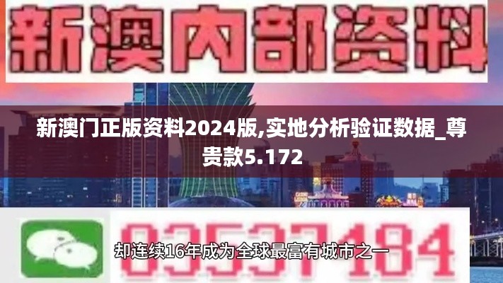 新澳門正版資料2024版,實(shí)地分析驗(yàn)證數(shù)據(jù)_尊貴款5.172