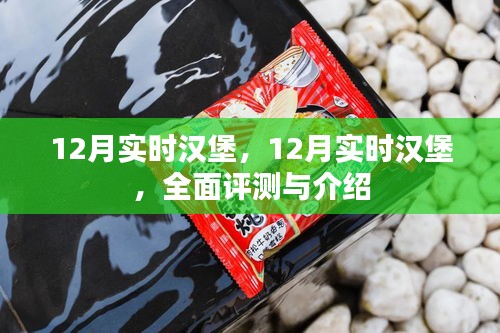 全面評測與介紹，12月實時漢堡