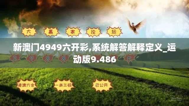 新澳門4949六開彩,系統(tǒng)解答解釋定義_運動版9.486