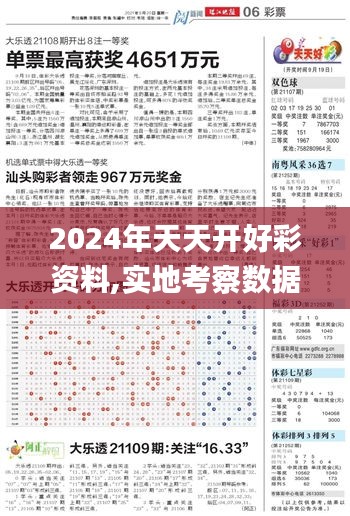 2024年天天開好彩資料,實地考察數(shù)據(jù)執(zhí)行_MP6.785