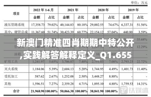 新澳門精準(zhǔn)四肖期期中特公開,實踐解答解釋定義_Q1.655