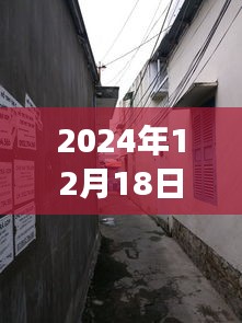 山東寒亭天氣預(yù)報(bào)下的美食驚喜之旅，小巷深處的暖意饗堂探秘