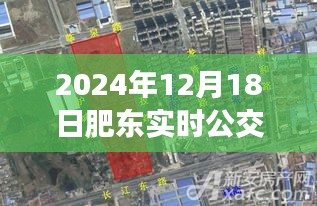 肥東實時公交查詢指南，如何查看2024年12月18日肥東實時公交信息及操作指南