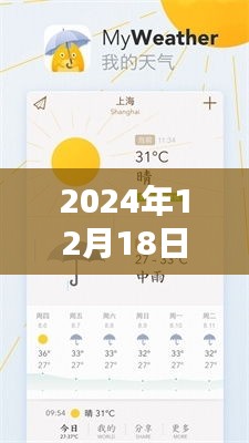 2024年12月19日 第17頁