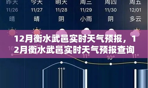 12月衡水武邑實時天氣預報及查詢步驟指南