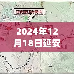 2024年12月20日 第2頁(yè)