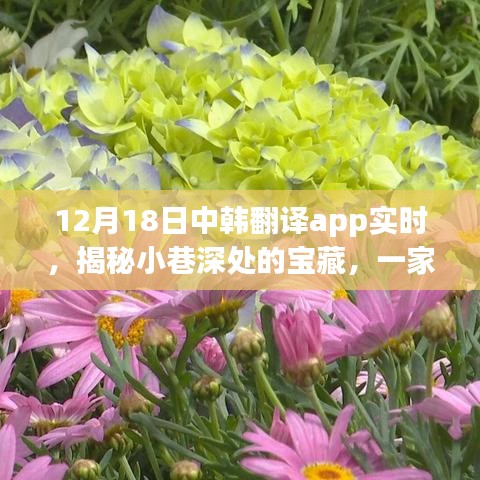 中韓翻譯App帶你探尋小巷深處的寶藏，特色小店的秘密