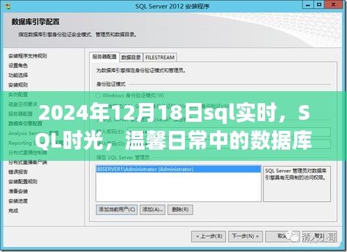 數(shù)據(jù)庫奇緣，SQL時光下的溫馨日常與實(shí)時數(shù)據(jù)探索（2024年12月18日）