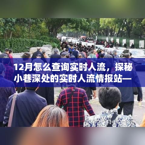 探秘隱藏式人流查詢指南，實(shí)時(shí)掌握小巷深處人流情報(bào)的秘訣