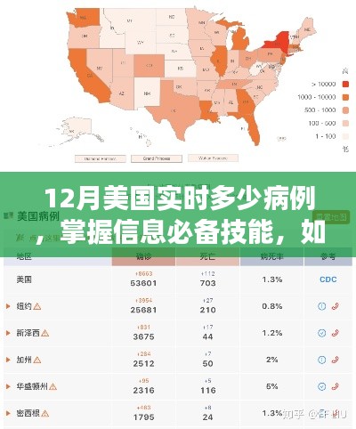 美國實(shí)時(shí)病例查詢指南，掌握信息必備技能與查詢方法