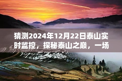 2024年12月 第2頁