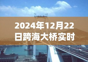 跨海大橋壯麗景色與寧靜之旅，實時探尋橋梁下的秘密之旅（2024年跨海大橋實時報道）