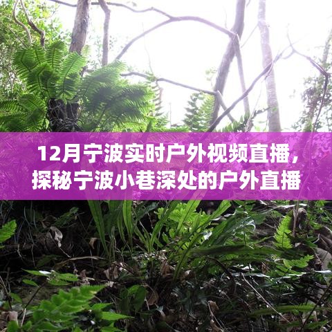 12月寧波戶外直播探秘，冬日風(fēng)情直播秀，小巷深處的秘境展示