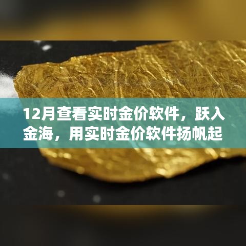 躍入金海，實(shí)時(shí)金價(jià)軟件助你揚(yáng)帆起航，金銀財(cái)富與自信人生的學(xué)習(xí)之旅