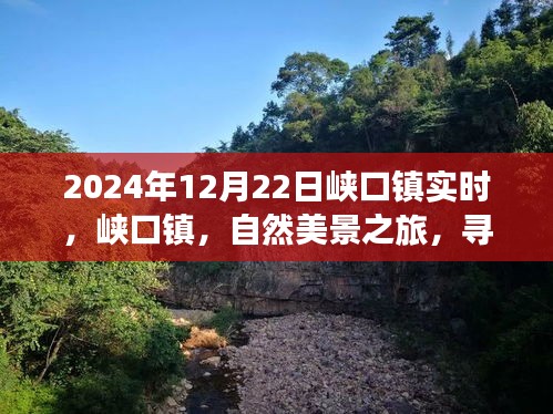 峽口鎮(zhèn)自然美景之旅，探尋內(nèi)心寧靜與平和的秘境（2024年12月22日實時報道）