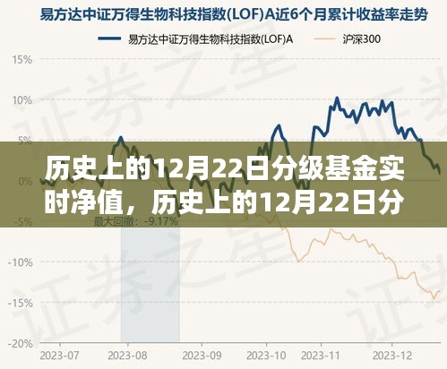 歷史上的12月22日分級基金實(shí)時(shí)凈值詳解，查詢步驟指南（適用于初學(xué)者與進(jìn)階用戶）