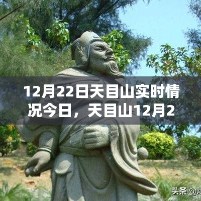 天目山12月22日實時情況探析，某某觀點下的深度闡述