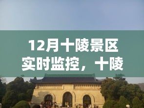 十陵景區(qū)12月實時監(jiān)控攻略，初學者與進階用戶的全方位教程