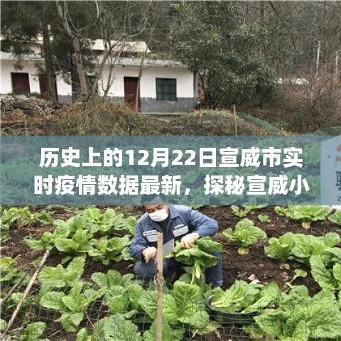 宣威市實(shí)時(shí)疫情數(shù)據(jù)更新，十二月二十二日特色環(huán)境之旅與小店的探秘之旅