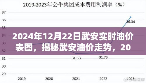 揭秘武安油價(jià)走勢(shì)，最新油價(jià)表圖與解析（2024年12月22日）