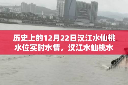 漢江水仙桃水位揭秘，探尋歷史特殊水情，實(shí)時(shí)掌握12月22日水位動態(tài)