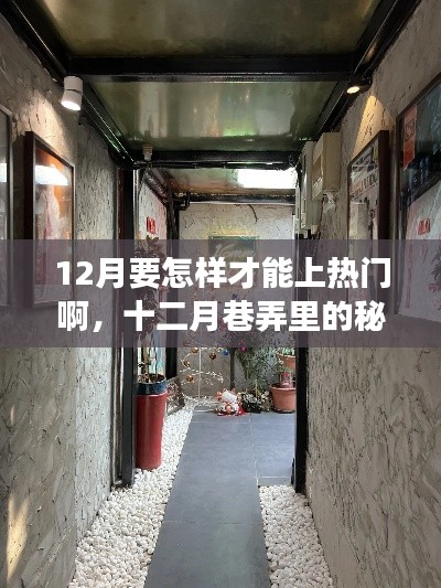 十二月巷弄探秘，特色小店點燃熱門探索之旅