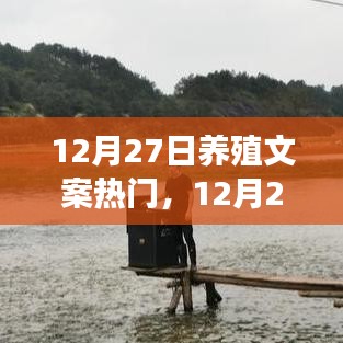 12月27日養(yǎng)殖文案精選，開啟養(yǎng)殖之路，信心與成就感共創(chuàng)美好人生魔法