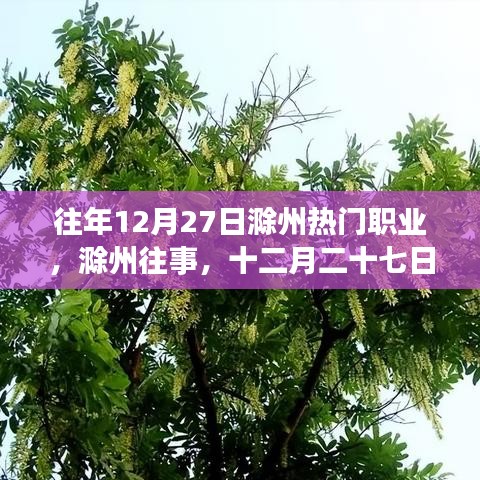 滁州十二月二十七日職業(yè)風(fēng)采變遷回顧，歷史影響與今日熱門職業(yè)解析