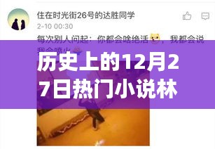 歷史上的12月27日，林天宇與寧麗霞的熱門小說之旅